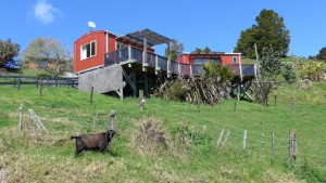 Our cabin in Whangarai