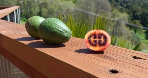 Tamarillo with avocados