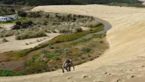 Manuela the sand dune climber