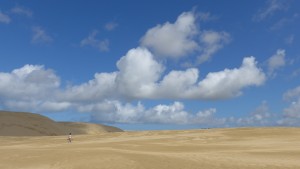 Sand dunes, just south of the cape