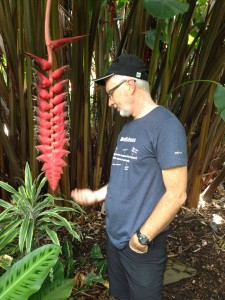 Gary with the Heliconias - Cairns Botanic Gardens