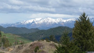 Spectacular snow capped "surprise" mountains