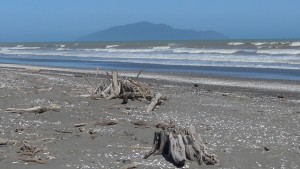 Rugged beach