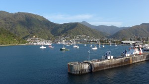 Picton harbour