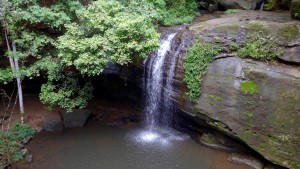 Rain forest hike with falls