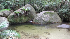 Rocks in River at Mossman Gorge/Daintree National Park