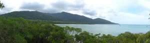 Cape Tribulation