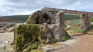 Water wheel