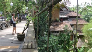 The path into Ubud