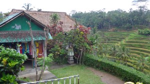 Rice Terraces, Tegallalang