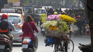 Flower deliver on bicycle, Hanoi