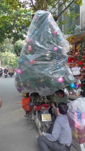 Christmas tree delivery, Hanoi