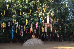 Lanterns in the tree, Chiang Mai