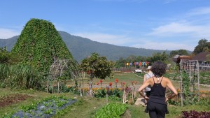 Non-tourist organic farm