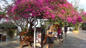 Bougainvillea and Karyn with matching scarf, Doi Suthep Temple