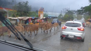 6 1/2 hour ride to Luang Prabang