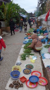 Great local food market, Luang Prabang