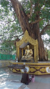 Shwedagon Pagoda grounds