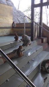 My friends on stairs to Mt. Popa