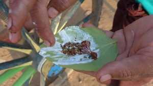 Betel quid - betel leaf, slaked lime, tobacco and betel nut. Almost every local chews it.