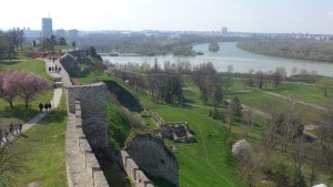 Where the Sava and Danube Rivers converge 